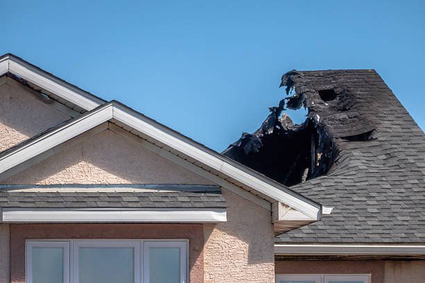 Top rated local Odor Removal specialists in Royersford, PA